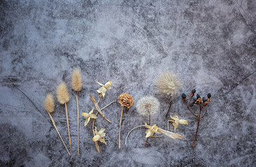 dry leaves and flowers on grey grunge background. autumn season atmosphere minimal concept. copy space