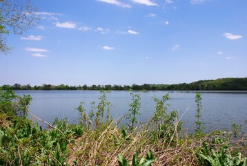 Fototapeta premium Lake View