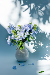 Floral arrangement in blue tones against a backround of natural shadows from sunlight. Greating card. Monochrome still life. Selective focus.