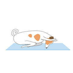 Jack russell terrier character or dog doing yoga isolated on white background, outline and flat vector stock illustration as asana, yoga, faith, religion concept