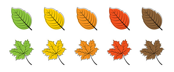 Obraz premium Leaves. Season leaf. Leaves different color, isolated. Leaf vector icons. Vector illustration