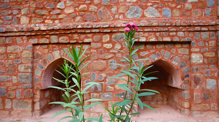 wall with flowers and leaves
