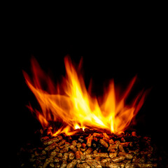 wood pellets burning with flames on black.