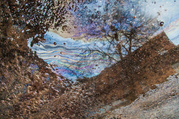 Old apartment house reflected in puddle with oil slick