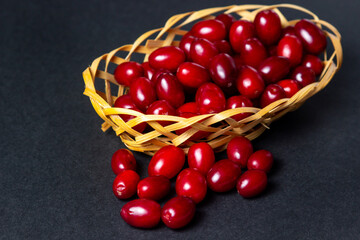 Dogwood on a black background. Wicker basket full of ripe red dogwood. Not many dogwoods are near. Gathering the summer harvest.