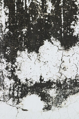 Black and white abstract background. Texture of old gray wall with black stains and cracks. Gloomy fond.