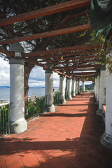 a terrace covered with climbing plants overlooks the Gulf of Naples