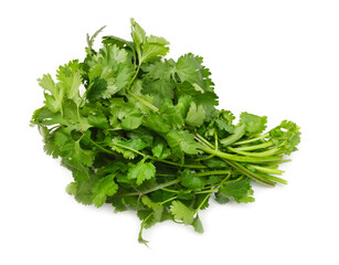 coriander cilantro leaves isolated on white