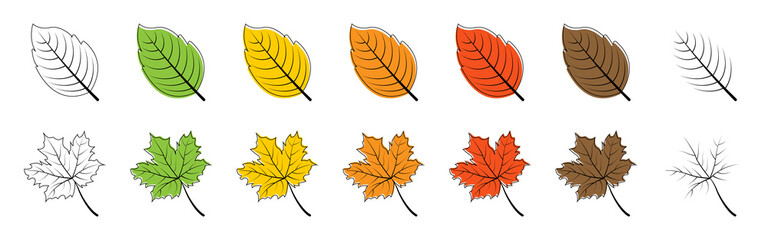 Leaves. Season leaf. Leaves different color, isolated. Leaf vector icons. Vector illustration