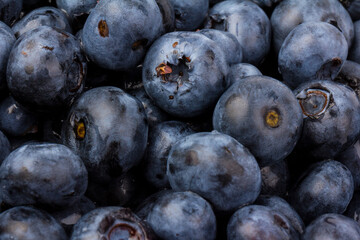 Blueberry isolated. Blueberry on white background. Bilberry. Clipping path.