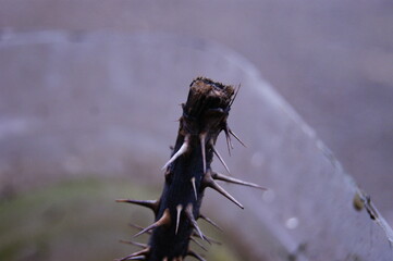 spikes