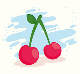 cherries fresh fruits, in white and blue background vector illustration design