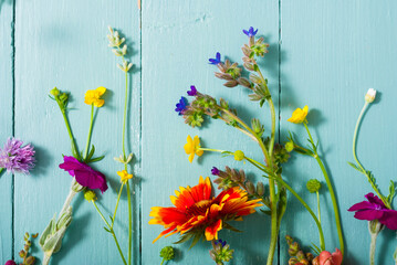 herbal and wildflowers on blue wooden table background