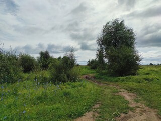 winding road in a green field with trees on the background of a cloudy sky in windy weather