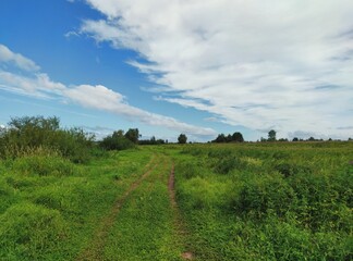 beautiful blue sky with clouds over a lush green field