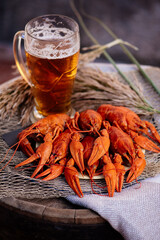 Crayfish and beer