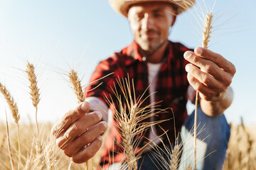 Image of adult man in straw hat examining harvest at cereal field