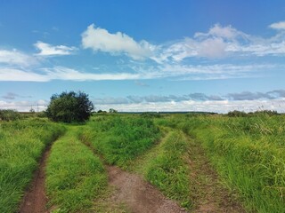 Fototapeta na wymiar road fork in a field among green grass against a blue cloudy sky