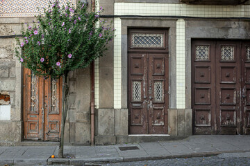 Fototapeta na wymiar Weathered Ornate Wooden Doors Along Sidewalk With Hibiscus Tree, Braga, Portugal