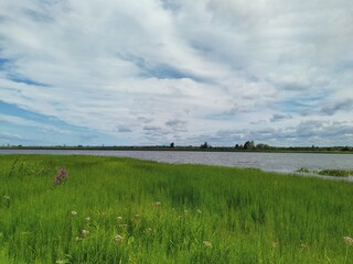 green water grass near the river bank against the blue cloudy sky