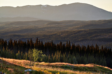 Wild nature in Norway. Shot at Gol, towards Hemsedal. 
