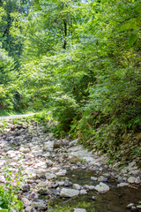 Picturesque mountain landscape. Dry riverbed with large stones. Around the lush green vegetation.