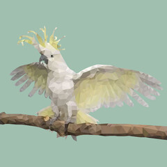 Cockatoo © Ольга Бирюкова