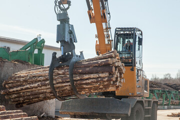 Claw of an industrial loader of logs at a sawmill