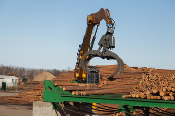 Claw of an industrial loader of logs at a sawmill