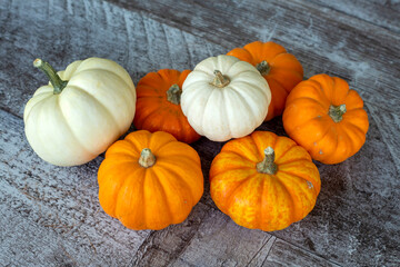 Small pumpkins on the wooden background