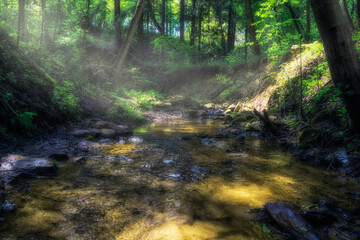 
a stream in the forest in a fairy-tale style