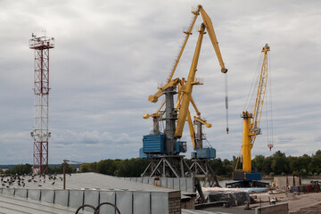 Fototapeta na wymiar Yellow industrial cranes in sea port