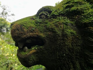 Mossy statue of a Lion