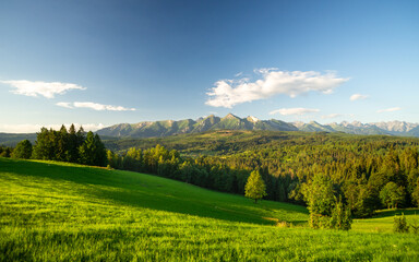 Fototapeta na wymiar Przełęcz nad Łapszanką Panorama Tatr 