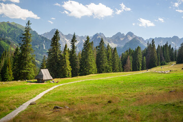 Szałas pasterski w górach. Rusinowa Polana w Tatrach  