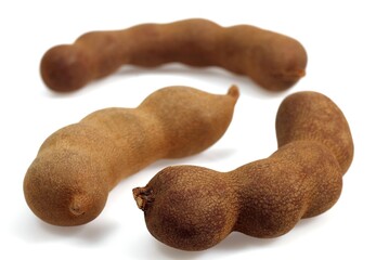Tamarind, tamarindus indica, Fruit against White Background