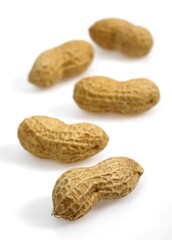 Peanuts, arachis hypogaea, Fruits against White Background