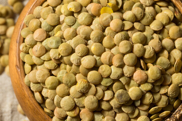 Dry Green Organic Lentils