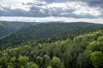 Green hills of Krynica-Zdrój in Spring