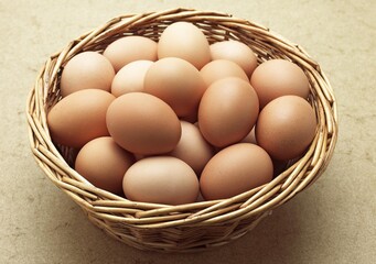 Chicken Eggs in Basket