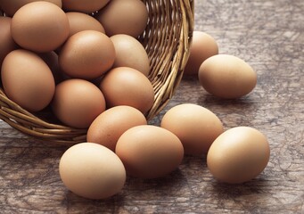 Chicken Eggs in Basket