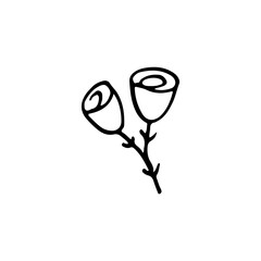 Hand-drawn plant. Doodle image of a flower. Floral vector for web, textiles, postcards, prints. Abstract plants, leaves, flowers.
