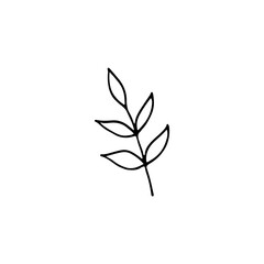 Hand-drawn plant. Doodle image of a flower. Floral vector for web, textiles, postcards, prints. Abstract plants, leaves, flowers.
