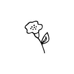 Hand-drawn plant. Doodle image of a flower. Floral vector for web, textiles, postcards, prints. Abstract plants, leaves, flowers.
