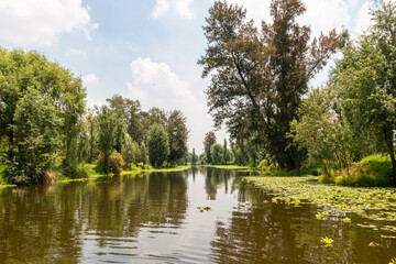 Landscape of the Cuemanco canal in Xochimilco, Mexico City. Calm river. The river flows in spring through the forest.