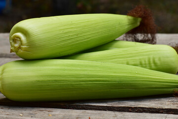 A heap of ripe corn in the skin on the table.