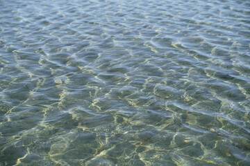 clear and pure water in lake during summer. water refraction, reflection and caustics
