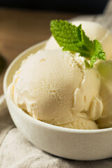 Homemade Frozen Vanilla Ice Cream