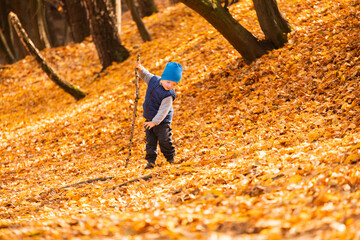 The child is played in the autumn foliage