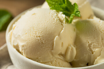 Homemade Frozen Vanilla Ice Cream